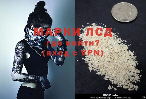 стаф Бородино