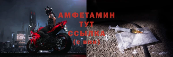 стаф Бородино