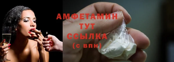 стаф Бородино