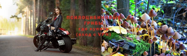 гидропоника Бронницы